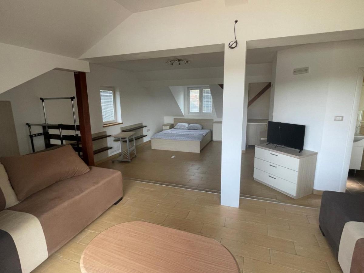 Vila Odmor Na Dunavu Beocin Buitenkant foto